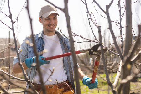 Professional gardener pruning a treeの写真素材
