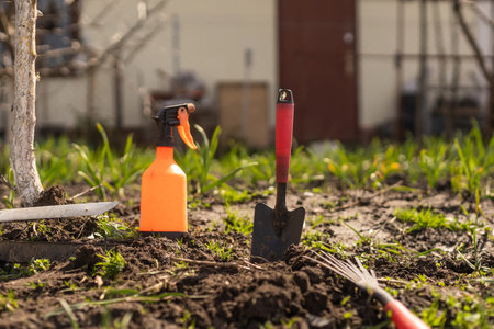 Farmer in the vegetable garden, gardening toolsの写真素材
