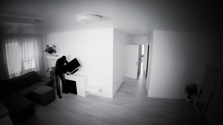 Overhead View Of Thief In Hooded Sweatshirt Stealing From House