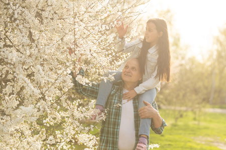 senior grandparents with grandchild in orchard in spring.の写真素材