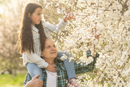 Smiling child hugging her happy grandfather - outdoor in nature.の写真素材