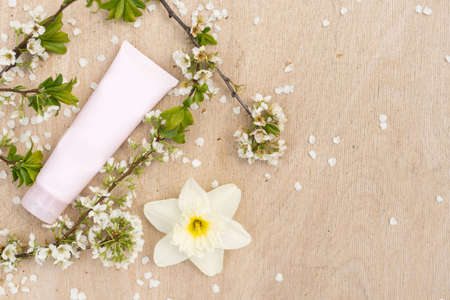 healthy beauty spa medical skincare concept with cosmetic lotion cream bottle packaging tube on white decor background with flower tree branchの写真素材