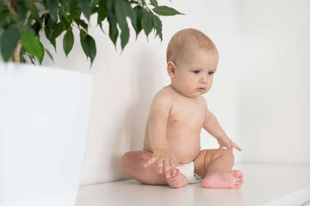 Portrait of a crawling baby on the bed in her roomの写真素材