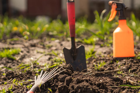 Farmer in the vegetable garden, gardening tools