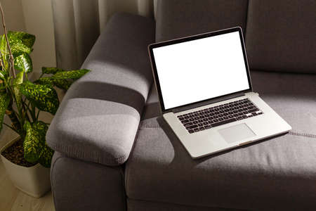 Mockup blank screen laptop on couch in living room with palms.の写真素材