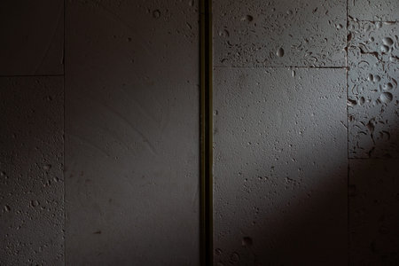 Wall tile sea shell abstract texture.
