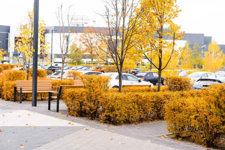 apartment building complex in fall season with colorful autumn leaves.