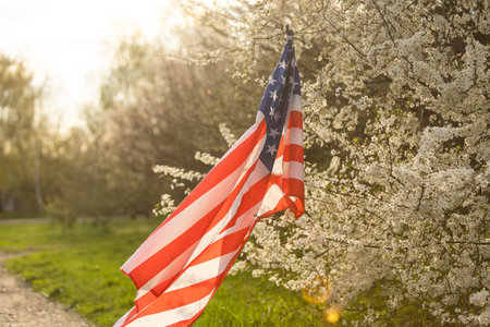 flag of America on the background of a flowering tree. Politics, learning a foreign language. July...