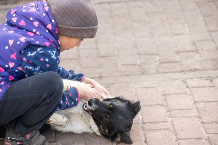 Little girl with her dog mongrelの写真素材