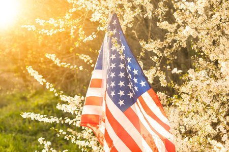 flag of America on the background of a flowering tree. Politics, learning a foreign language. July...