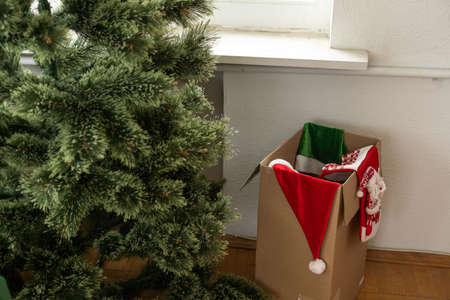 christmas preparation process, branches of christmas tree. Christmas preparations.の写真素材