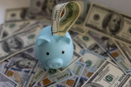 Piggy bank placed up to its nose in a pile of dollars.の写真素材