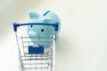 Toy shopping cart and Piggy bank. Consumer society trendの写真素材
