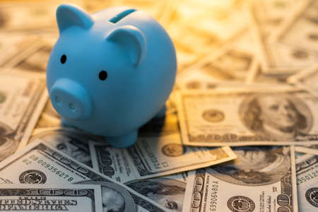 dollars and a piggy bankの写真素材
