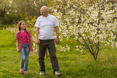 Grandfather And Granddaughter Walking the cherry treesの写真素材