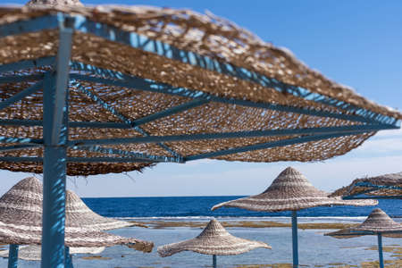 Mediterranean coast with sunbeds and straw sun umbrellas on the sandy beachの写真素材