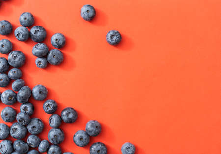 Large blueberries on a red background, close-upの写真素材