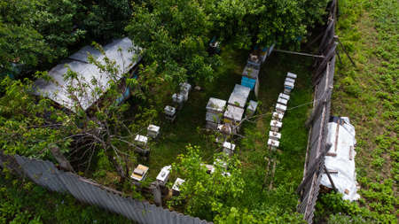 apiary near the house with a garden aerial viewの写真素材