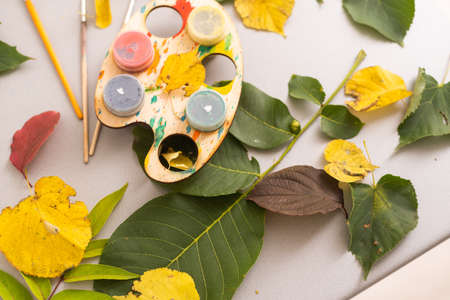A child paints a picture of an autumn leaf with paints. Childrens hands. Favorite hobby, materials for creativity.の写真素材