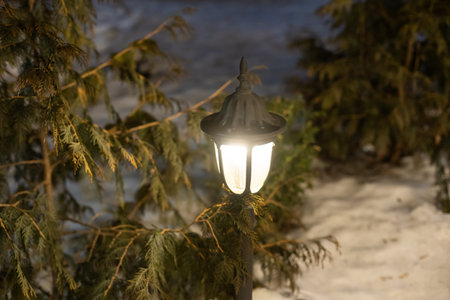 Christmas Lantern On Snow With Fir Branch In Evening Scene.