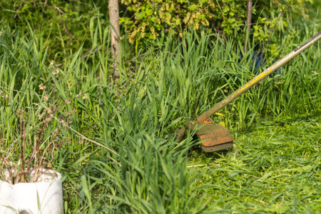 man with lawn mower, a man mows the grass