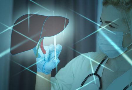 Female doctor touches virtual Liver in hand. Blurred photo, handrawn human organ, highlighted red as symbol of disease. Healthcare hospital service concept stock photo.の写真素材