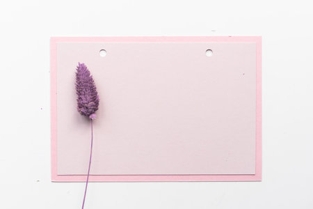 Card with space for text. Selective focus.の写真素材