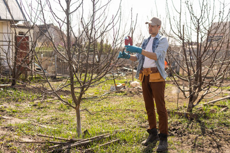 Professional gardener pruning a tree