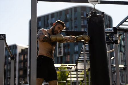 A fighter in the boxing gloves concept portrait