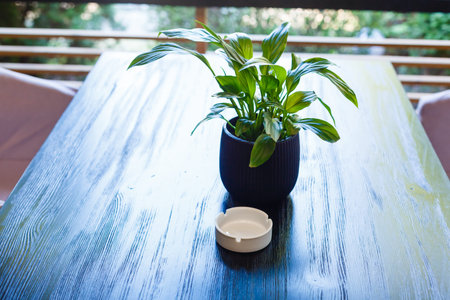 Clean empty round ashtray on old wooden table. Flowerpot with green plant