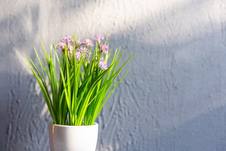 Beautiful houseplant with white flowerpot on light wooden office table textureの写真素材