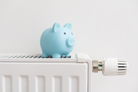 Heating battery with piggy bank on itの写真素材
