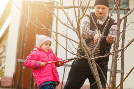 granddaughter helps grandfather cut trees in the garden
