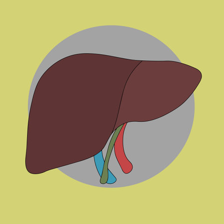 Human liver icon. Flat illustration of human liver icon for web designのイラスト素材