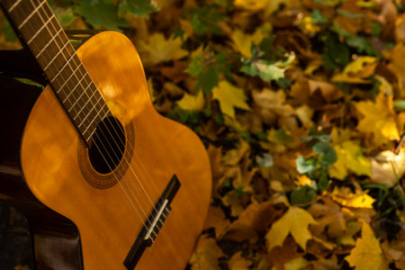 Guitar and autumn leaves background.の写真素材