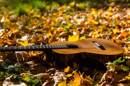 Autumn background with yellow leaves in the park and with a guitar.の写真素材