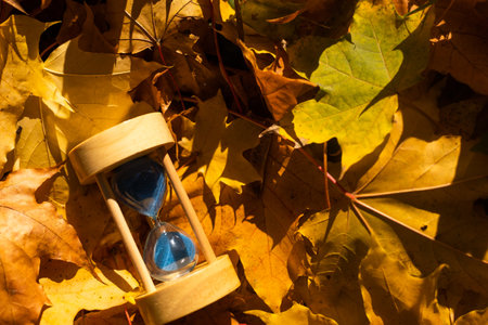 Hourglass and autumn leaves in the park. A symbol of passing time. Symbol of short life.の写真素材