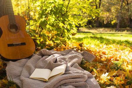 Autumn background with books, guitar and plaidの写真素材