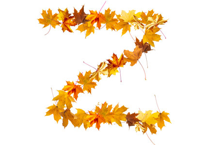 Alphabet letters made with yellow autumn leaves to form the capitals on a stone background. The letter zの写真素材