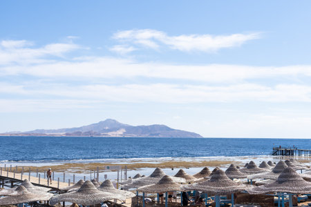 Mediterranean coast with sunbeds and straw sun umbrellas on the sandy beachの写真素材