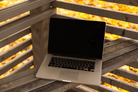 Laptop placed on a wooden table with autumn landscape as background