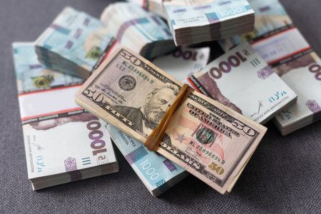 bundles of hryvnias and dollarsの写真素材