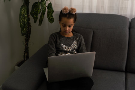 Caucasian Teenager girl, with a computer on a gray sofa in house.の写真素材