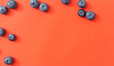large blueberry on a red backgroundの写真素材