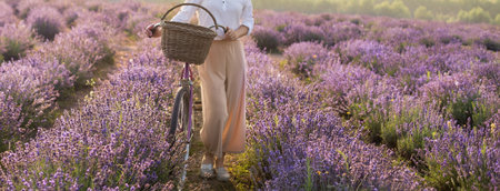 Beautiful woman on the lavender fieldの写真素材