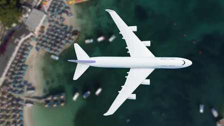 Airplane flying over beach with palm tree, white sand and turquoise ocean