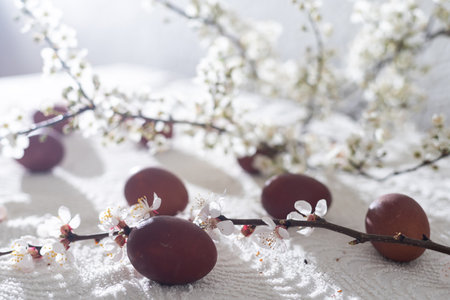 Easter decorative composition with painted eggs, flowering branches.の写真素材
