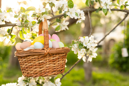 Happy Easter. Basket with Easter eggs in grass on a sunny spring day - Easter decoration, banner,...