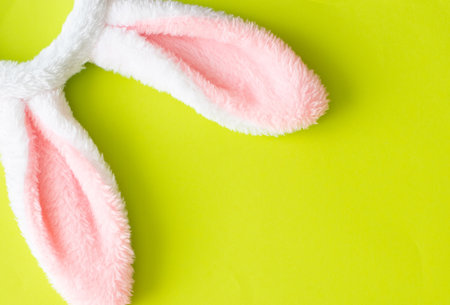 Easter bunny ears isolated on backgroundの写真素材