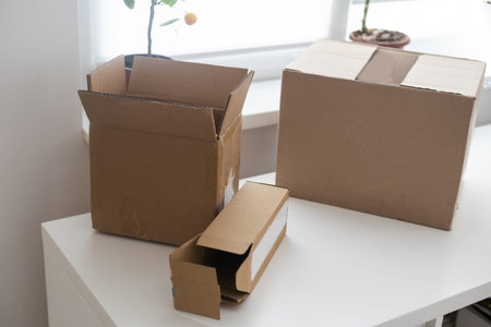 Open Empty Cardboard Box, packaging